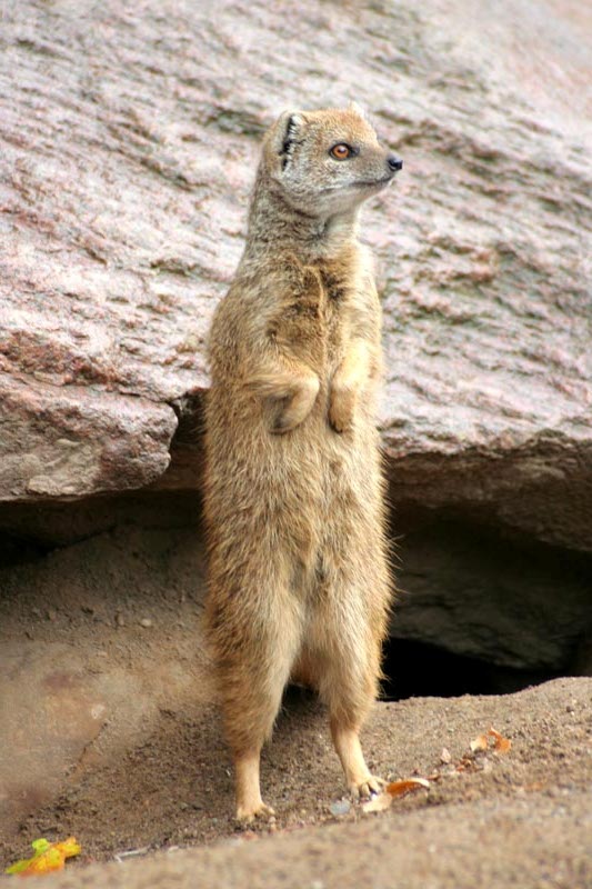 Killikus&reg; Fotographie